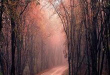 体育明星收入排行2024,体育,其他体育赛事,好看视频.