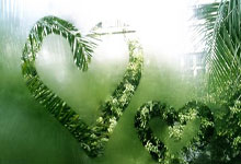 半场:河南1-0申花,迈达纳乱战中头球得分,高天意中楣.