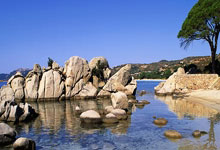 挖墙脚？英媒：纽卡斯尔盯上曼联首席运营官.